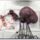 밀리언동물병원 이미지