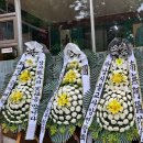 감이남로40번길 이미지