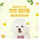 털로 덮인 친구들 인천검단점 네이버블로그