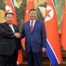 눈속에피는꽃 | 눈속에 피는 꽃