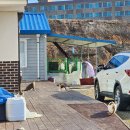 신진도약국 이미지