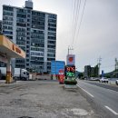 젤코바주유소 네이버블로그