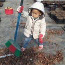 자매 농장 이미지