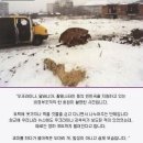 야쓰 이미지