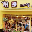 J@야니스타일 이미지