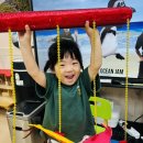💙Sea animals&amp;Farm animals&amp;How do you feel&amp;Little boy blue💙 이미지