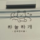 하늘하개 이미지