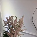 엠알렌트카여행사 이미지