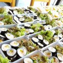 꿈앤들김밥