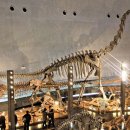 오상호재활의학과의원 이미지