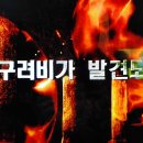 충주고구려비전시관 이미지