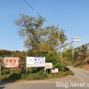 서서울승마클럽 이미지