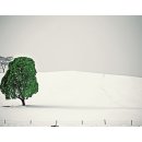 녹색의 추억 이미지