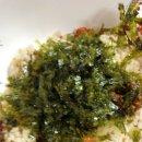 금강산카써비스 이미지