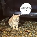 가을 밀양 캠핑 _ 캠앤캠아지트_미니존 미니B