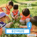 숲에온 환경