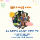 랄라키즈