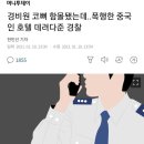 시민pc게임 이미지