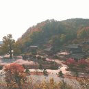 섬뜰농원