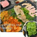 백암농장 | 강남역 고깃집 청미나리농장, 직접 키운 미나리와 당일 도축 암돼지