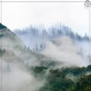 굿라이프 보청기 | 드디어 나만의 맞춤 보청기 겟 보청기 건강관리