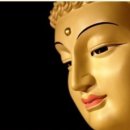 와우게임방 이미지