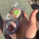 까페하루 | 양산 덕계 두쫀쿠 두바이쫀득쿠키 카페 '오늘하루머랭' '슈어라운지' 비교 후기