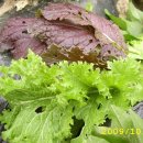 금병농장 이미지