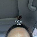 씨유 원주개운서초점 | 2025.7.1-7.31 여름의 향기