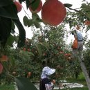 내아들농장 이미지