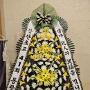 김정보 이미지