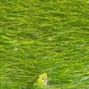 고현-0091 이미지