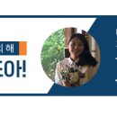 족욕체험장 정기공연 네이버블로그