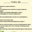 베스트캠핑장 이미지