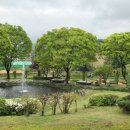 용인 농촌테마파크 후기 | 가족 나들이 데이트 코스로 좋았던 용인 여행