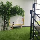 애견카페 애견유치원 펫레터 이미지