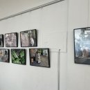 슬로우버드 이미지