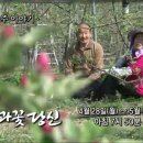 명옥 농장 Daum카페