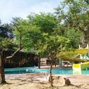 고씨동굴펜션 | 강원도 영월 삿갓펜션 캠핑장 계곡 수영장