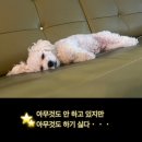 두호동 두무치 작은도서관 | 내가 널 이끌어 갈 테니