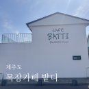표선형아집 | 제주도 아기랑 가볼 만한 곳 목장 카페 밭디 이색자전거 후기