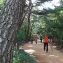 비석공원길 이미지