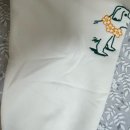 띠빗 | 여행용 휴대용 미니 다리미 (띠빗 다리미) 사용 후기