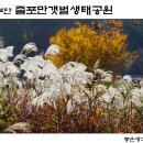 줄포만갯벌생태공원 무장애나눔길 티스토리