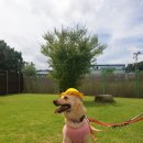 멍스퀘어 이미지