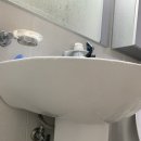 월플세탁소 | [화장실 곰팡이 제거제, 다목적 클리너] 재현유통 크리너 후기