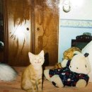 지구에서 너뿐 이미지