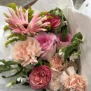 도레미음악학원 정기연주회 이미지