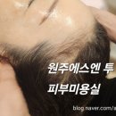 에스엔투 네이버블로그