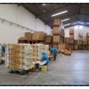 죽도상사 이미지